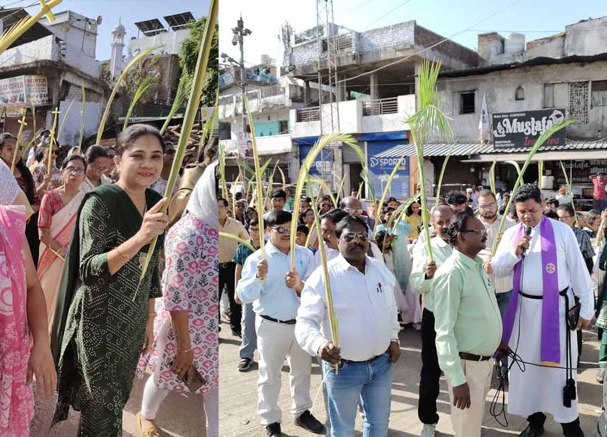 पाम संडे पर प्रार्थना और जुलूस, देश-विदेश में शांति की कामना
