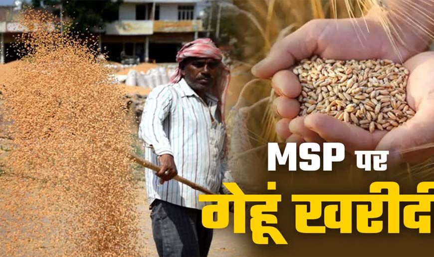 मालवांचल, नर्मदापुरम और भोपाल संभाग में 10 अप्रैल से गेहूं उपार्जन, बाकी संभागों में 15 मार्च से शुरू होगी खरीदी