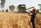 पंजाब में सख्ती: शाम 7 से सुबह 8 बजे तक हार्वेस्टर चलाने पर रोक