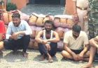 महासमुंद में बड़ा ड्रग्स ऑपरेशन: डेढ़ करोड़ का गांजा जब्त, 5 तस्कर गिरफ्तार
