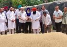पंजाब की मंडियों में गेहूं की रिकॉर्ड आवक: 24 लाख मीट्रिक टन फसल की खरीद, किसानों को मिली बड़ी राहत