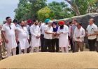 पंजाब की मंडियों में 28 लाख मीट्रिक टन गेहूं आया, 24 लाख से अधिक की खरीद: लाल चंद कटारूचक्क