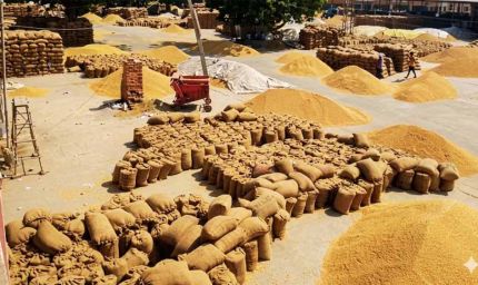 पंजाब में आज से गेहूं खरीद शुरू, बाहरी अनाज पर कड़ी निगरानी