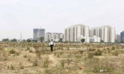 हरियाणा में जमीन महंगी: नए कलेक्टर रेट लागू, बढ़ी दरों पर होगी रजिस्ट्री