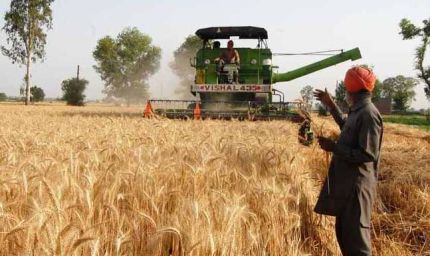 पंजाब में सख्ती: शाम 7 से सुबह 8 बजे तक हार्वेस्टर चलाने पर रोक