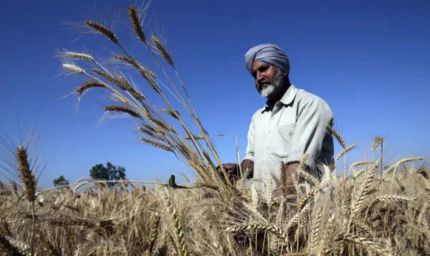 पंजाब के किसानों के लिए सुनहरा मौका, 24 अप्रैल तक करें आवेदन, समय सीमित