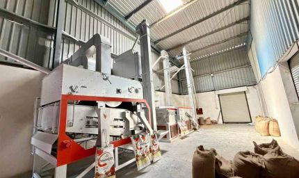 इंदौर में आधुनिक ग्रेडिंग एवं कलर सॉर्टिंग प्लांट का शुभारंभ कृषि क्षेत्र के लिए महत्वपूर्ण कदम : कृषि मंत्री  कंषाना