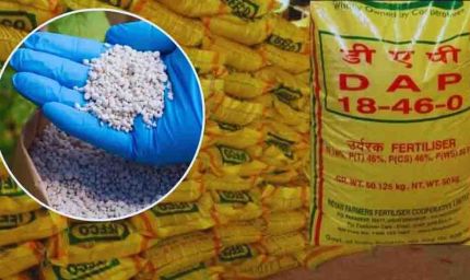 खाड़ी युद्ध से भारत में खाद संकट की आशंका, जुलाई-अगस्त में उर्वरक की सप्लाई पर पड़ सकता है असर