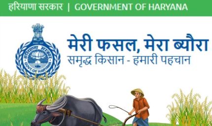 हरियाणा सरकार किसान की फसल का एक-एक दाना खरीदने के लिए प्रतिबद्ध: अमित अग्रवाल