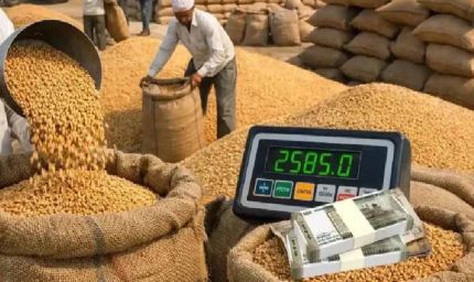 जालंधर में मंत्री के निर्देश: गेहूं खरीद का 24 घंटे में भुगतान सुनिश्चित करें