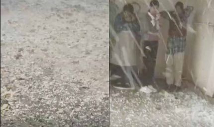 ग्वालियर में मौसम का यू-टर्न: धूप के बाद ओलों की मार, ‘बर्फबारी’ जैसे नजारे से सहमा शहर