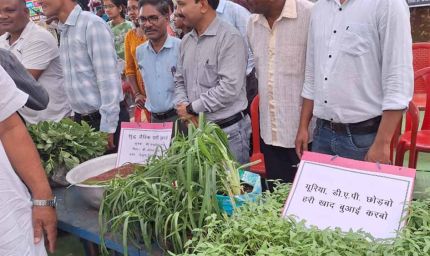 हरी खाद से बदल रही खेती की तस्वीर: कम लागत, बेहतर मुनाफा और स्वस्थ मिट्टी’