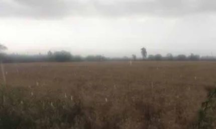 पंजाब में मौसम का कहर: ओलावृष्टि का ऑरेंज अलर्ट, आज-कल आंधी के साथ तेज बारिश की चेतावनी