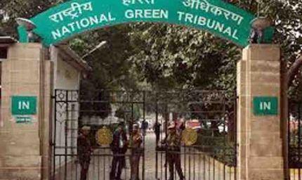 हरियाणा में अवैध आरएमसी प्लांट पर एनजीटी का हंटर, 108 प्लांटों पर करोड़ों का जुर्माना