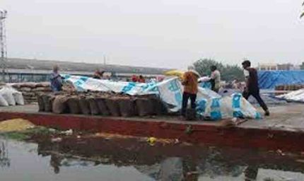 हरियाणा में मौसम की मार, बारिश से मंडियों में भीगा हजारों क्विंटल गेहूं