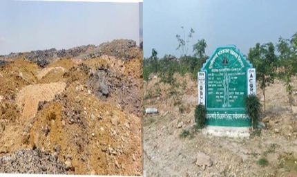 रायपुर : बंजर डंप क्षेत्र से हरा-भरा जंगल बनने की ओर गेवरा की अनूठी पहल