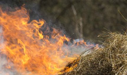 आगजनी के बाद कृषि विभाग की अपील: ज्वलनशील पदार्थों से खलिहानों का करें बचाव