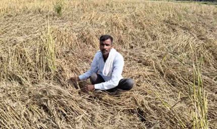 यूपी में थमेगा मौसम का मिजाज, अब तीखी धूप और गर्म हवाओं के साथ 10 डिग्री तक बढ़ेगा पारा और गर्मी ढाएगी कहर