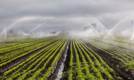 रायपुर : दो सिंचाई योजना के लिए 6.12 करोड़ रुपये स्वीकृत