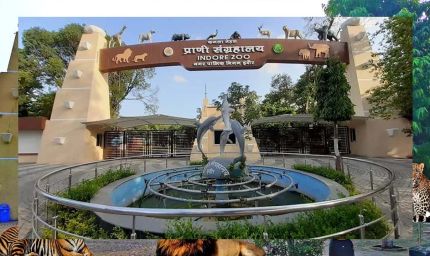 इंदौर चिड़ियाघर में बनेगी अंडर वॉटर टनल, दुबई और सिंगापुर की तर्ज पर 35 करोड़ का मॉडल