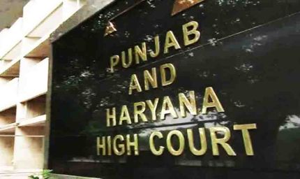 डिजिटल अरेस्ट’ साइबर ठगी मामले में आरोपी को हाई कोर्ट से नियमित जमानत मिली