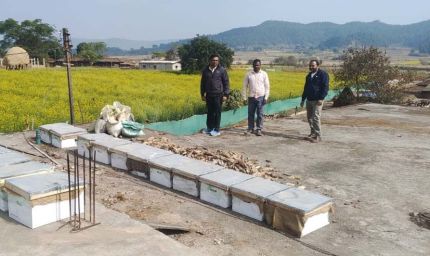 रायपुर : मधुमक्खी पालन: कम लागत में ज्यादा मुनाफे का बेहतर विकल्प