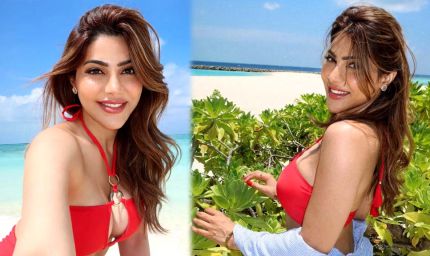 निक्की तंबोली ने बिकिनी में दिखाई बोल्डनेस, BF की बांहों में रोमांटिक, दूसरे धर्म में करेगी शादी!