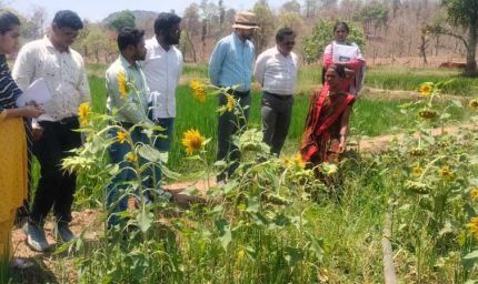 दीदी के बखरी से बदल रही तस्वीर : कांकेर में महिला किसानों की आय में क्रान्तिकारी