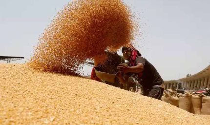 2 दिन में किसानों को 6 करोड़ 37 लाख का भुगतान