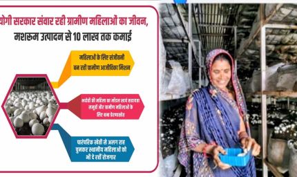 योगी सरकार संवार रही ग्रामीण महिलाओं का जीवन, मशरूम उत्पादन से 10 लाख तक कमाई