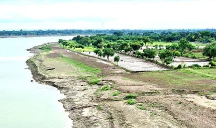 गंगा के किनारे 26 जिलों में ऑर्गेनिक क्लस्टर से बदल रही यूपी की तस्वीर