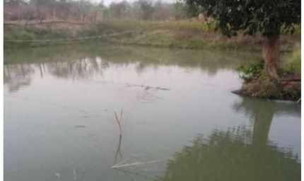 डबरी, मछली पालन और बहुफसली खेती से बदली तकदीर—सगनू बने गांव के प्रेरणास्रोत