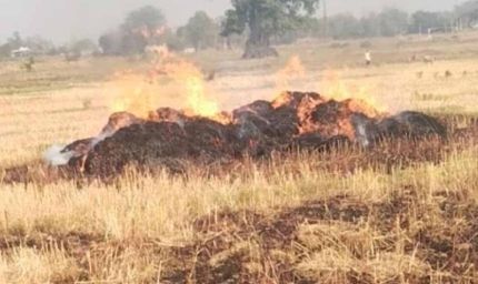 चतरा के सोकी गांव में भीषण आग, 500 से अधिक गेहूं के बोझे जलकर राख