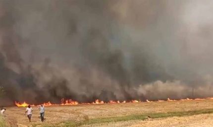 पंजाब में भीषण आग का कहर: 4 गांवों की 400 एकड़ गेहूं फसल राख