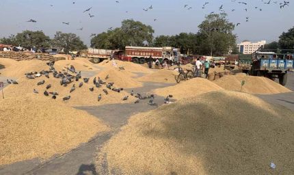 Barnala में MLA ने 1.25 करोड़ की अनाज मंडी जनता को समर्पित की, किसानों को मिलेगा बड़ा फायदा