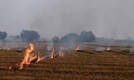 पंजाब में आग से गेहूं की फसल को नुकसान: PWD मंत्री ने मौके पर पहुंचकर लिया जायजा