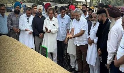 मंत्री कटारूचक का मंडी दौरा: गेहूं खरीदी व्यवस्था का लिया जायजा, भुगतान और बारदाने पर दिया स्पष्ट संदेश