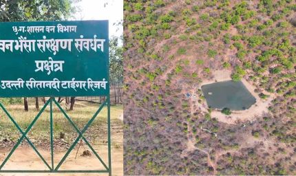 उदंती सीतानदी टाइगर रिजर्व में ‘फायर-वॉटर’ मॉडल का कमाल, 750 जल स्रोत और हाईटेक निगरानी से जंगल सुरक्षित
