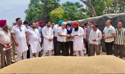 पंजाब की मंडियों में 28 लाख मीट्रिक टन गेहूं आया, 24 लाख से अधिक की खरीद: लाल चंद कटारूचक्क