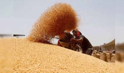 मुख्यमंत्री ने गेहूं खरीद में किसानों को दी बड़ी राहत