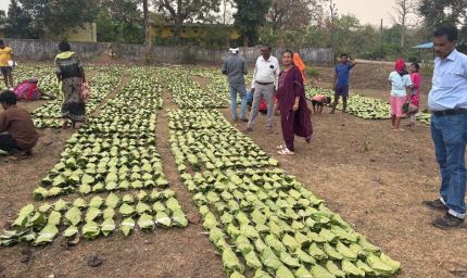 हरा सोना संग्राहकों की आय बढ़ाने के लिए बड़ा कदम, 920 करोड़ रुपए का होगा संभावित भुगतान