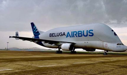 रीवा में उतरेंगे एयरबस जैसे बड़े विमान, रनवे को 2300 मीटर करने के लिए जमीन का होगा अधिग्रहण, 340 करोड़ मुआवजा मिलेगा