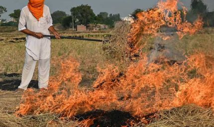 पंजाब में फिर धधके खेत, गेहूं के अवशेष जलाने के 44 मामले दर्ज, मंडी गोबिंदगढ़ का AQI खराब