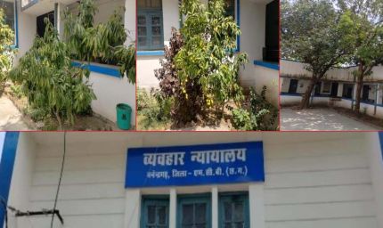 हरियाली की गोद में न्याय का मंदिर:मनेन्द्रगढ़ न्यायालय परिसर बना प्रकृति का मनमोहक आंगन