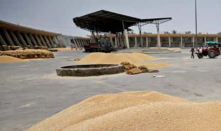 बेमौसम बारिश से परेशान गेहूं किसानों को डबल इंजन सरकार ने दी बड़ी सुविधा