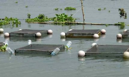 अम्बिकापुर : मत्स्य पालन हेतु जलाशयों का 10 वर्षीय लीज आबंटन के लिए आवेदन आमंत्रित