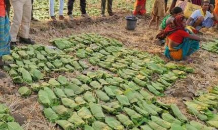 बालोद : मई के पहले सप्ताह से शुरू होगा तेंदुपत्ता संग्रहण का कार्य