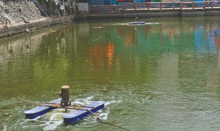 तालाबों की गुणवत्ता सुधारने के लिए निगम की नई पहल, नैनो एरेटर तकनीक से 10 दिन में दिखा असर