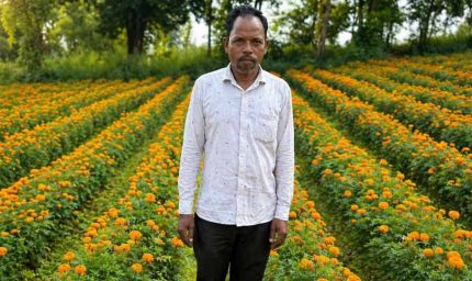 फूलों की खुशबू से महकी किस्मत ईश्वरचरण पैकरा का