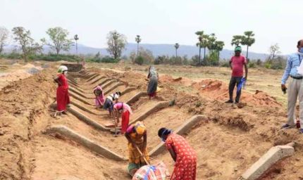 मनरेगा ई-केवाईसी में छत्तीसगढ़ नंबर-1, 97.11% सक्रिय श्रमिकों को मिली सुविधा